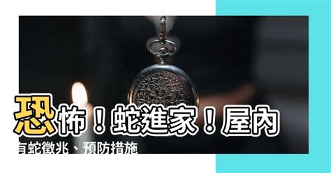 蛇進家中 你已經看完了所有內容